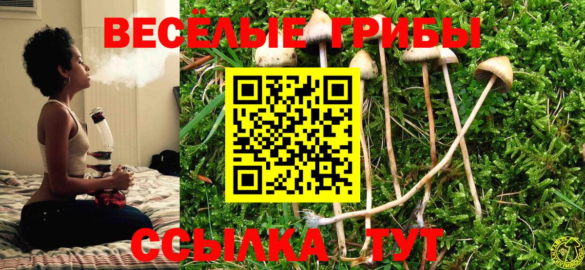 Галлюциногенные грибы мицелий Жигулёвск
